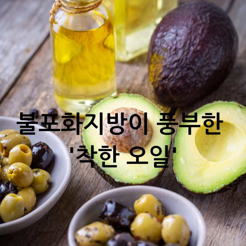 아보카도오일과 올리브오일 차이점