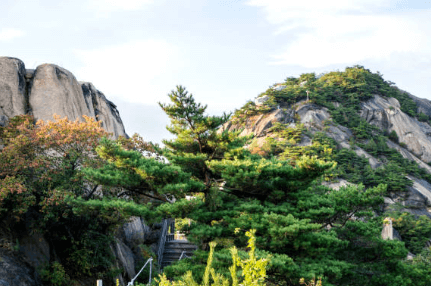 태백산 국립공원