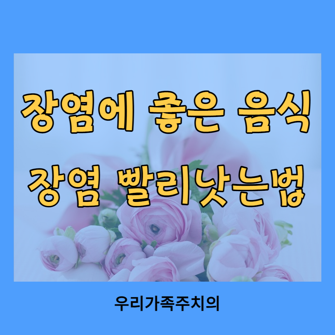 장염에좋은음식
