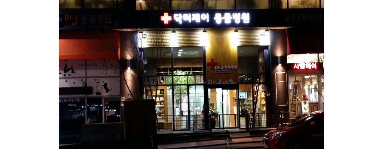 용인 기흥구 동물병원