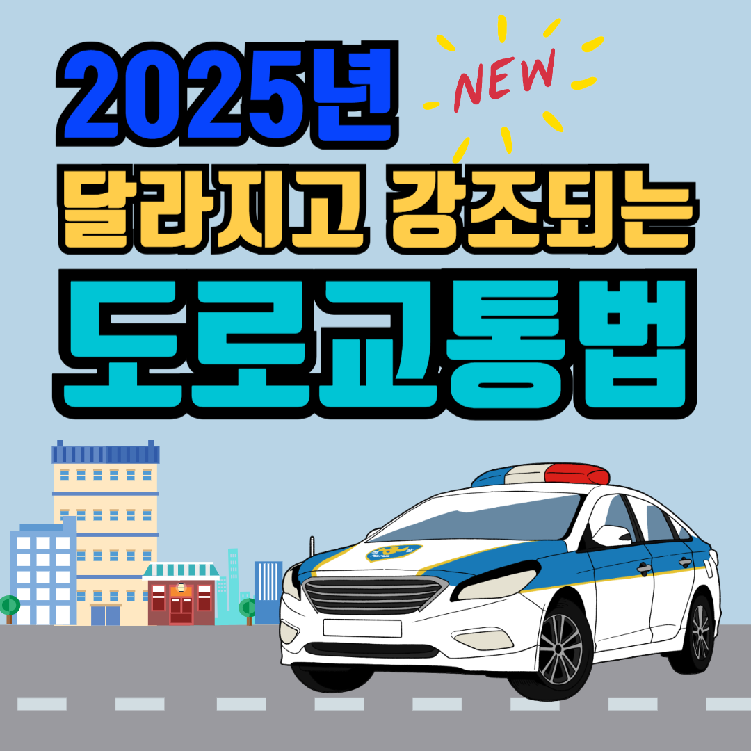 2025 새로운 도로교통법