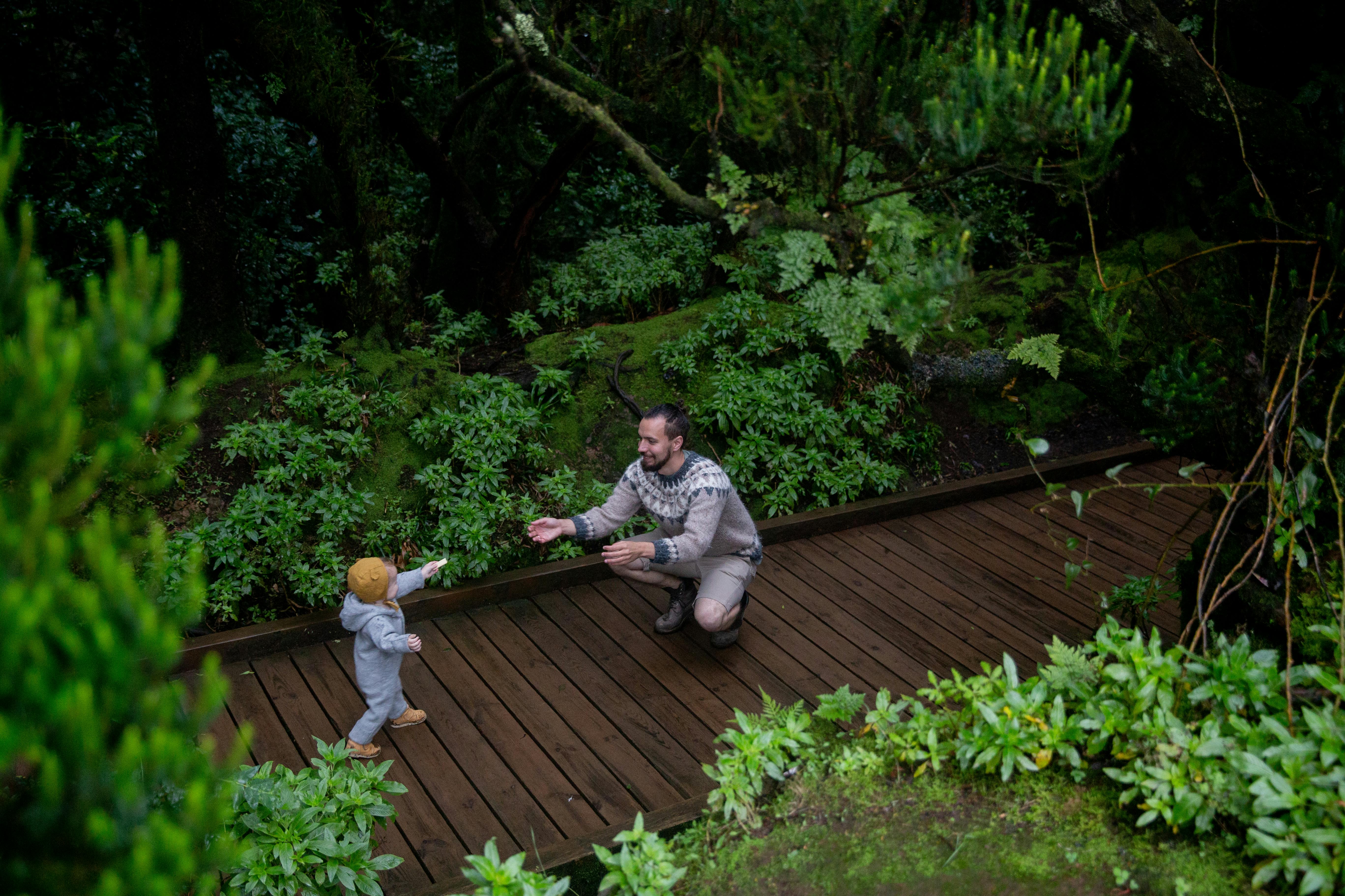 자동차 보험 갱신 시 특약 적용 방법 – 보험료 확 줄이는 특약 7가지 활용법