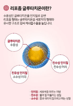 리포좀 글루타치온 효능 부작용