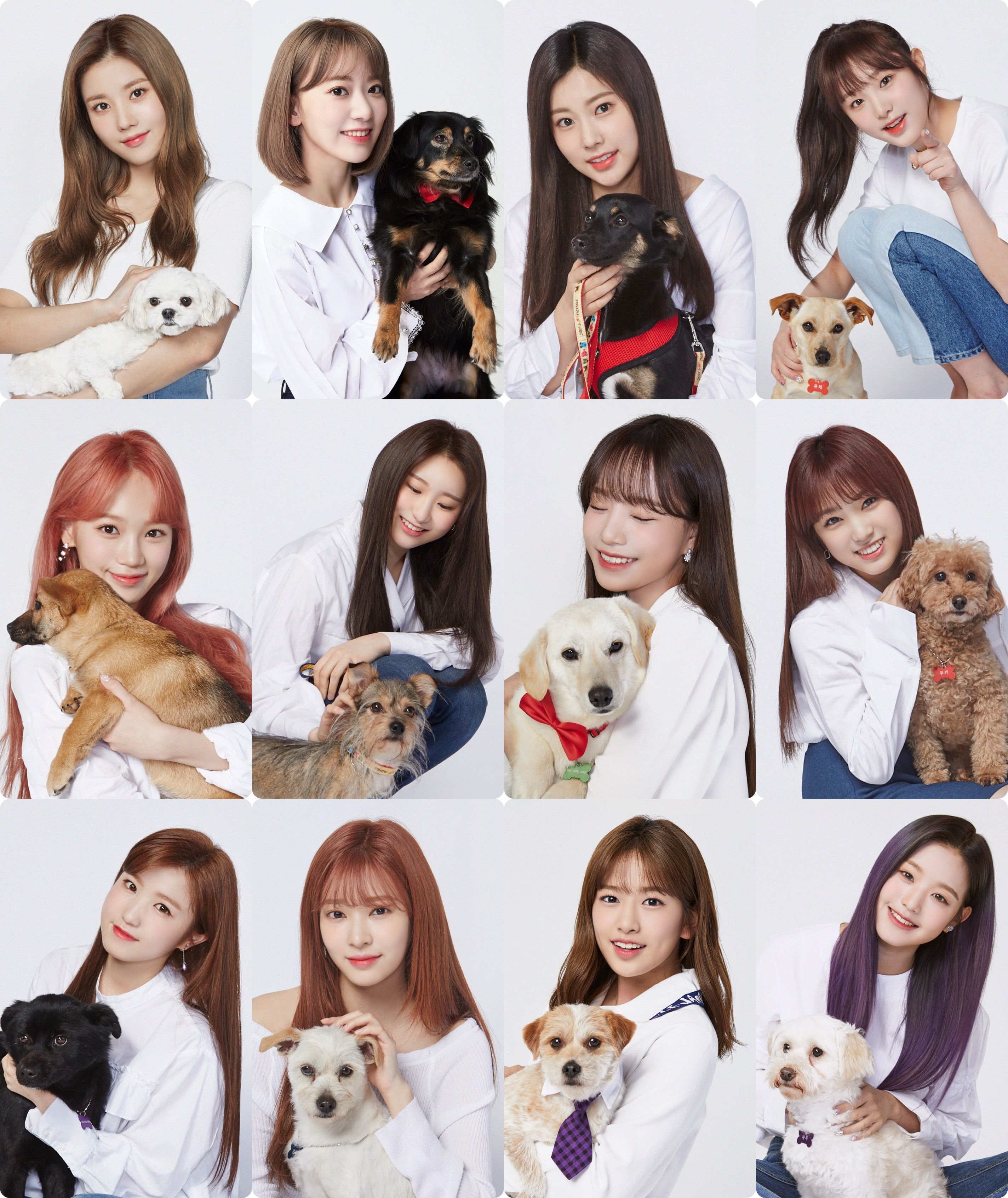 아이즈원 프로듀스48 사진 모음