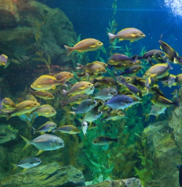 어린이날가볼만한곳best10