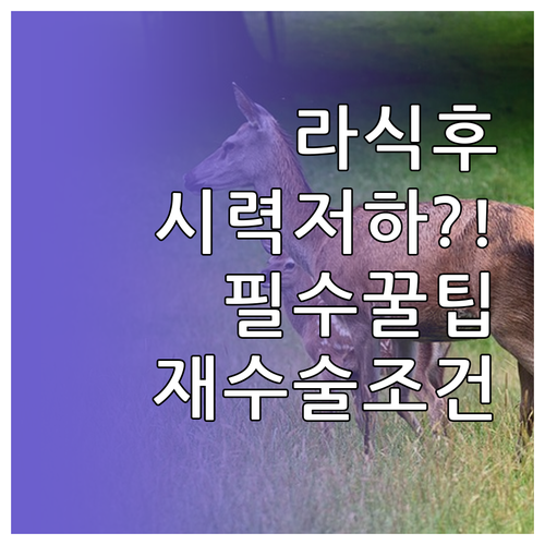 라식 후 시력 저하 예방 관리법과 재..