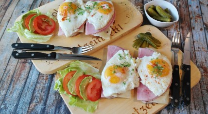 계란 가격 상승 원인과 예측, 가정경제에 미치는 영향