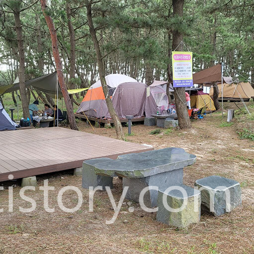 원산도해수욕장 소나무숲 캠핑장 탁자와 의자