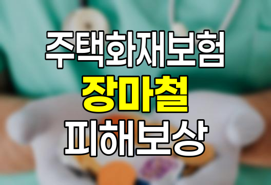 주택화재보험의 장마철 피해보상 핵심 가이드