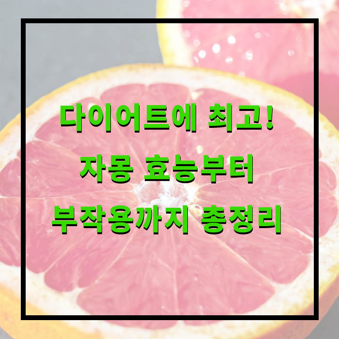 자몽 효능, 부작용, 먹는 방법