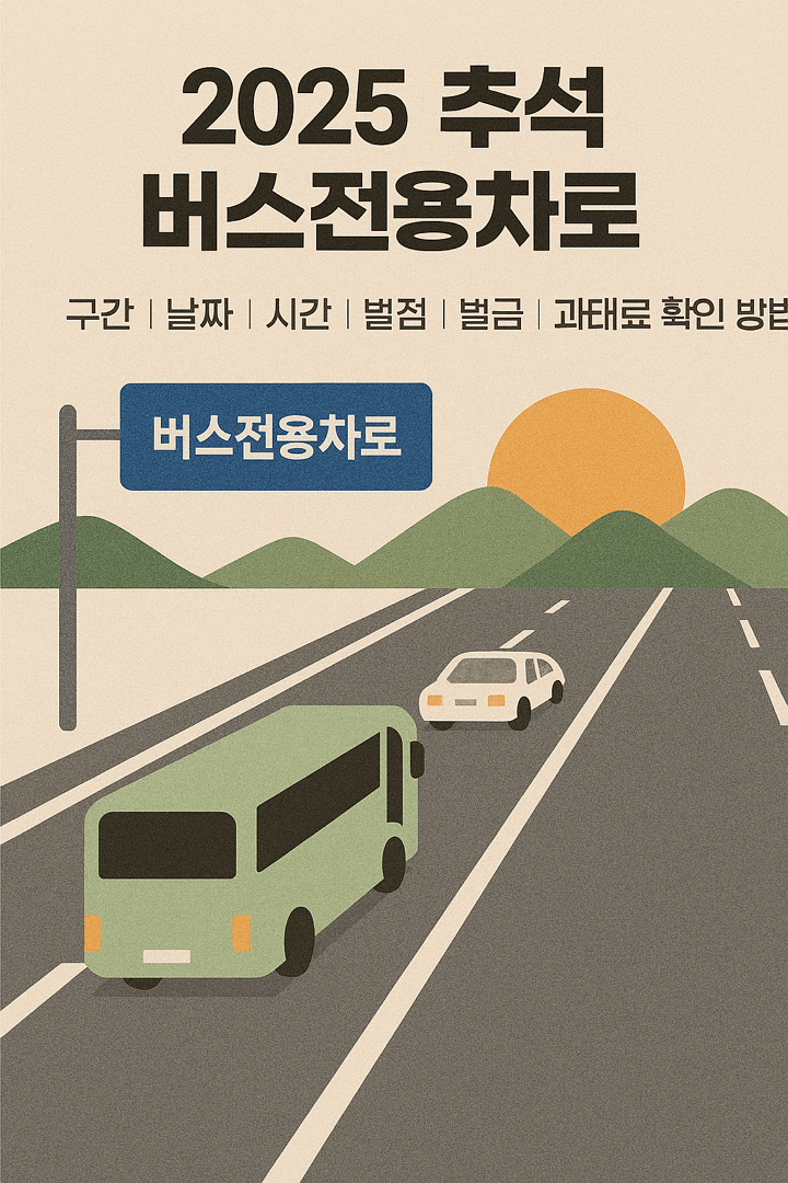 2025 추석 버스전용차로 구간, 날짜, 시간, 벌점, 벌금, 과태료 확인 방법