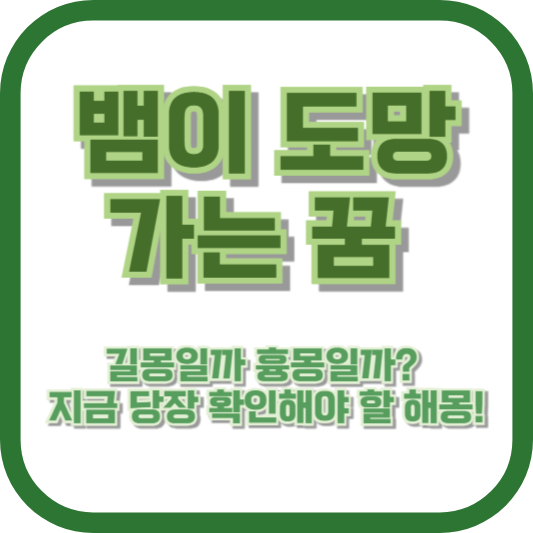 뱀이 도망가는 꿈, 길몽일까 흉몽일까? 지금 당장 확인해야 할 해몽!