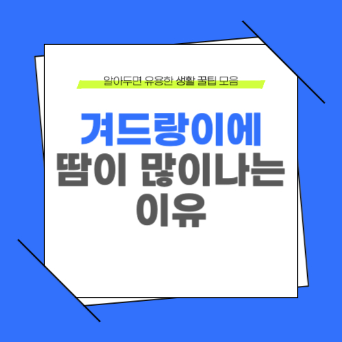 겨드랑이에 땀이 많이 나는 이유