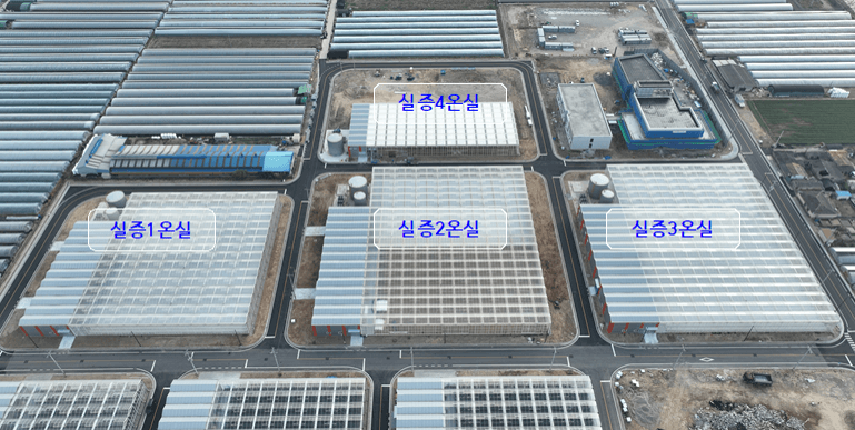 스마트팜혁신밸리 신청자격 우대사항 가산점(스마트팜코리아)