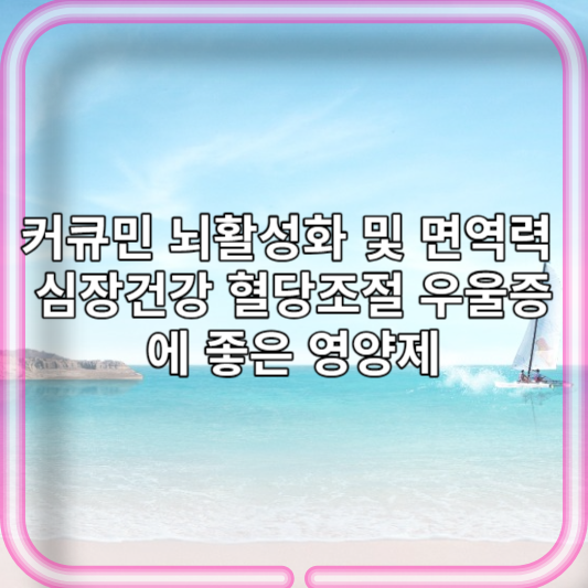 커큐민 뇌활성화 및 면역력 심장건강 혈당조절 우울증에 좋은 영양제