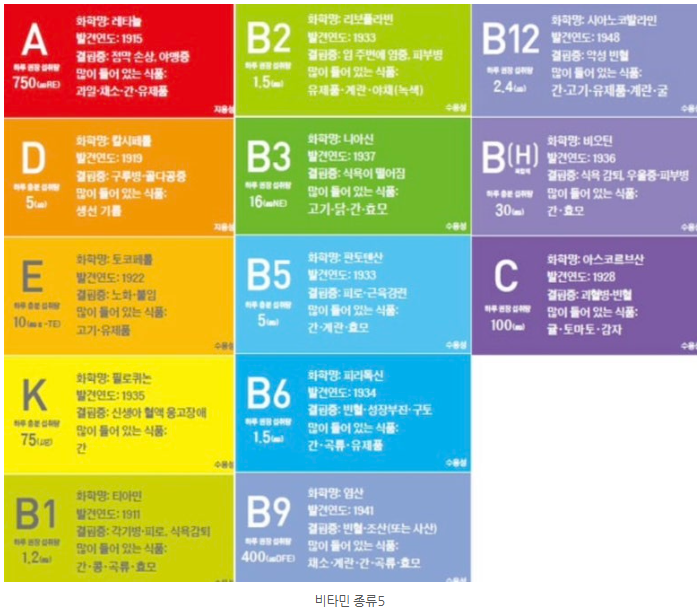 비타민B군으로 활력 되찾기 관련 이미지