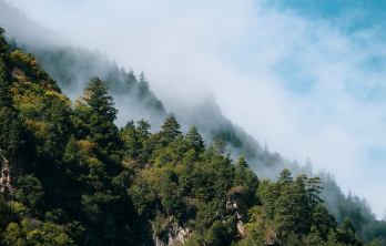 보건증 검사항목 쉽게 정리 3