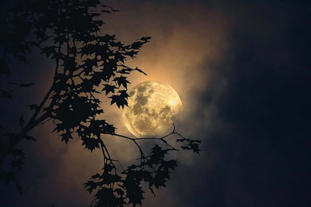 평달과 윤달, 평달 윤달뜻, 음력 양력 계산기, 양력 음력 계산기, 음력 양력 차이, 양력음력 변환기, 음력양력 변환기, 평달 윤달 차이, 양력 음력 차이