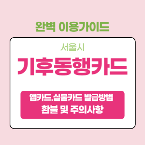 서울시 기후동행카드