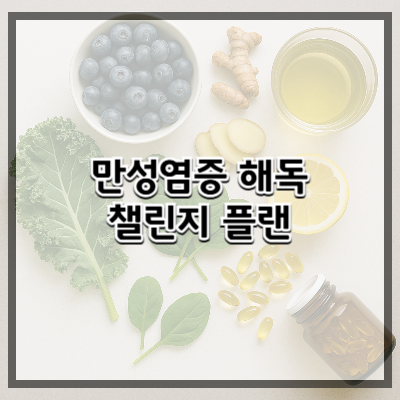 만성염증 해독 챌린지 플랜