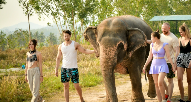 파타야 엘리펀트빌리지 상단 사진