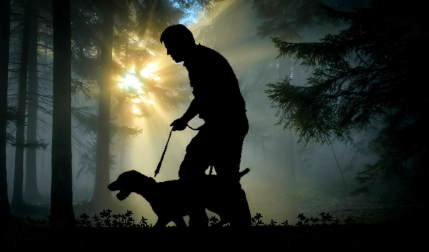 견과 걷고있는 핸들러 사진