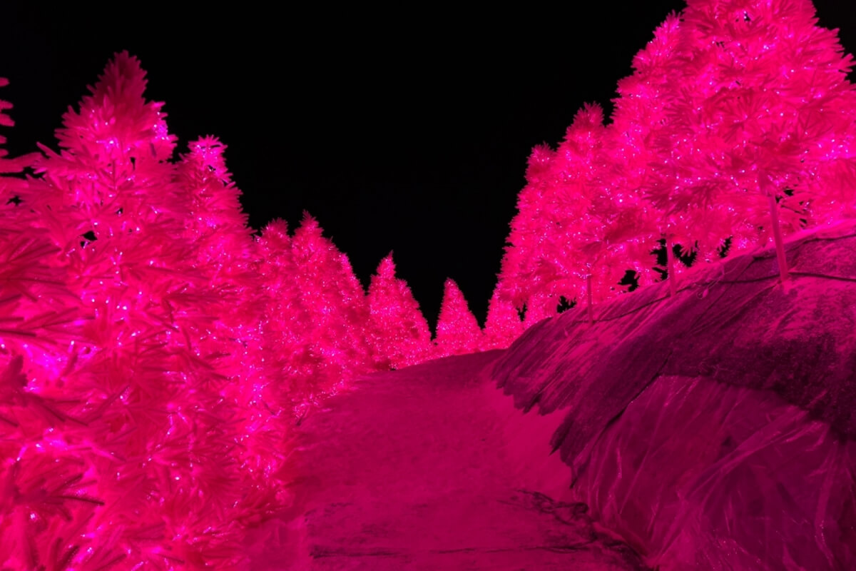 설연휴 국내 여행지 추천 - 포천 허브아일랜드