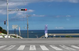 통행결정 심리모형(Psychological Model of Travel Decision-making)