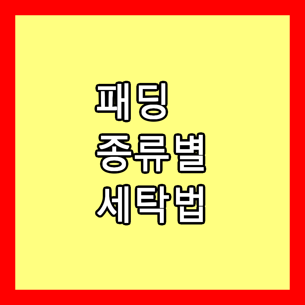 패딩 종류별 세탁법