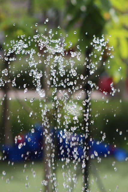 러브버그출몰지