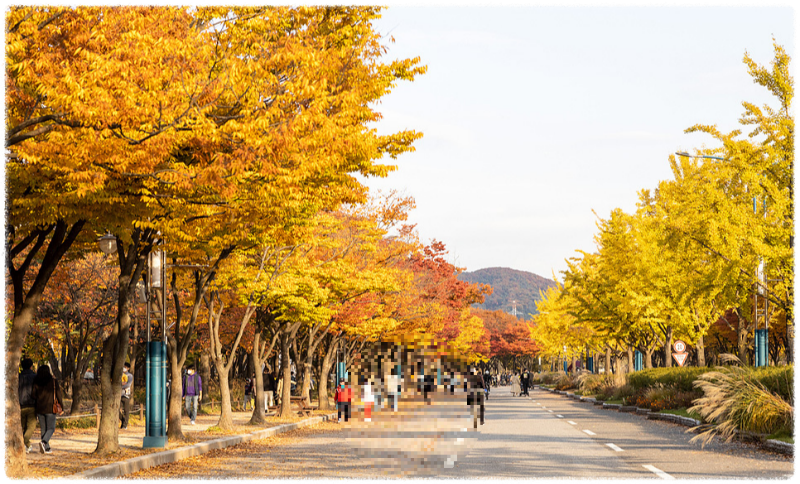 단풍명소