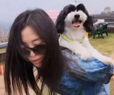 장필순 카뮈