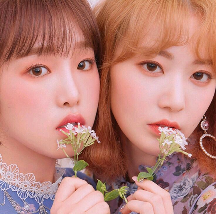 아이즈원 프로듀스48 사진 모음 아이즈원 프로듀스48 사진 모음
