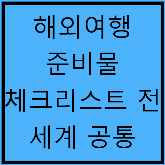 해외여행 준비물 체크리스트 전 세계 공통