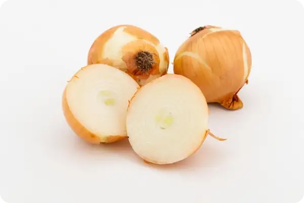 양파장아찌 담그는 법