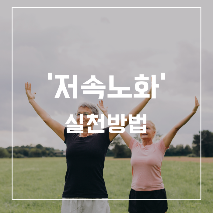 저속노화 실천방법