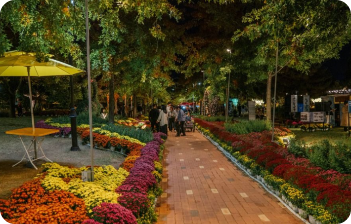 유성국화축제 일정부터 주차장 족욕체험까지! 2025 완벽 가이드