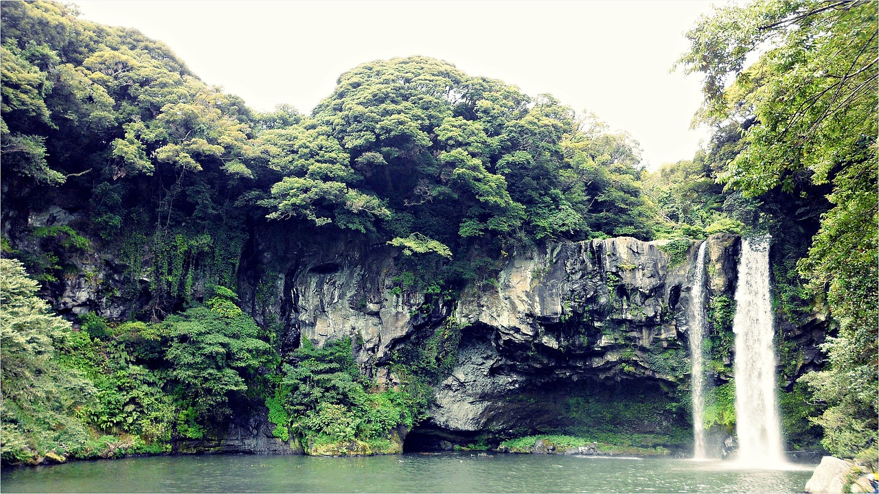 산림복지바우처