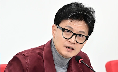 한동훈 가발 논란