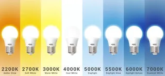 주광색 주백색 차이 비교 차이점_7