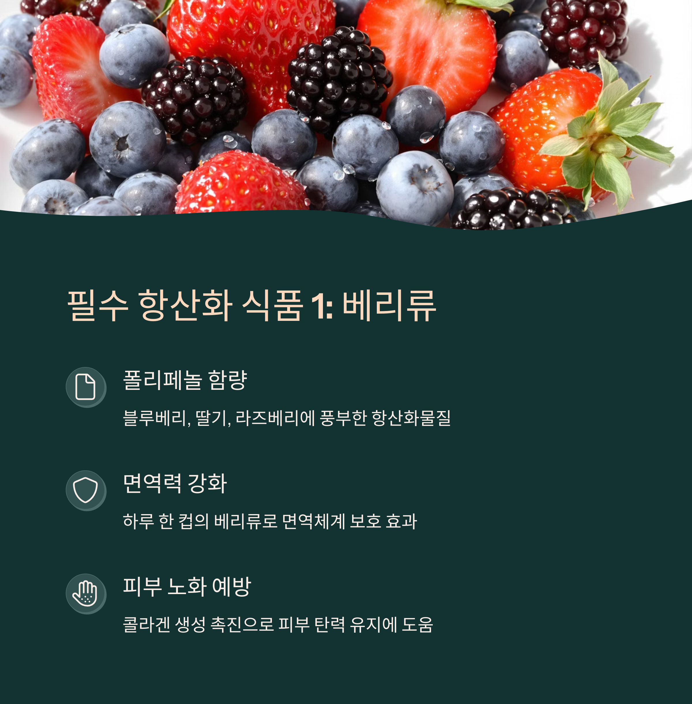 실천하기 쉬운 저속노화 식습관 팁