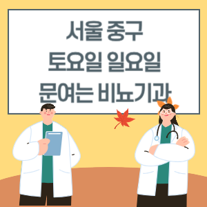 서울 중구 토요일 일요일 비뇨기과 진료 병원 리스트