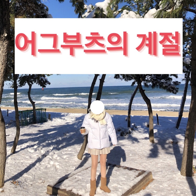어그부츠 코디