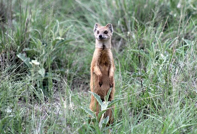 티몬 위메프 큐텐 탈퇴 주의점_9