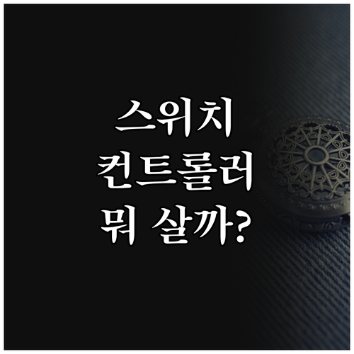 닌텐도 스위치 컨트롤러 종류별 특징 
