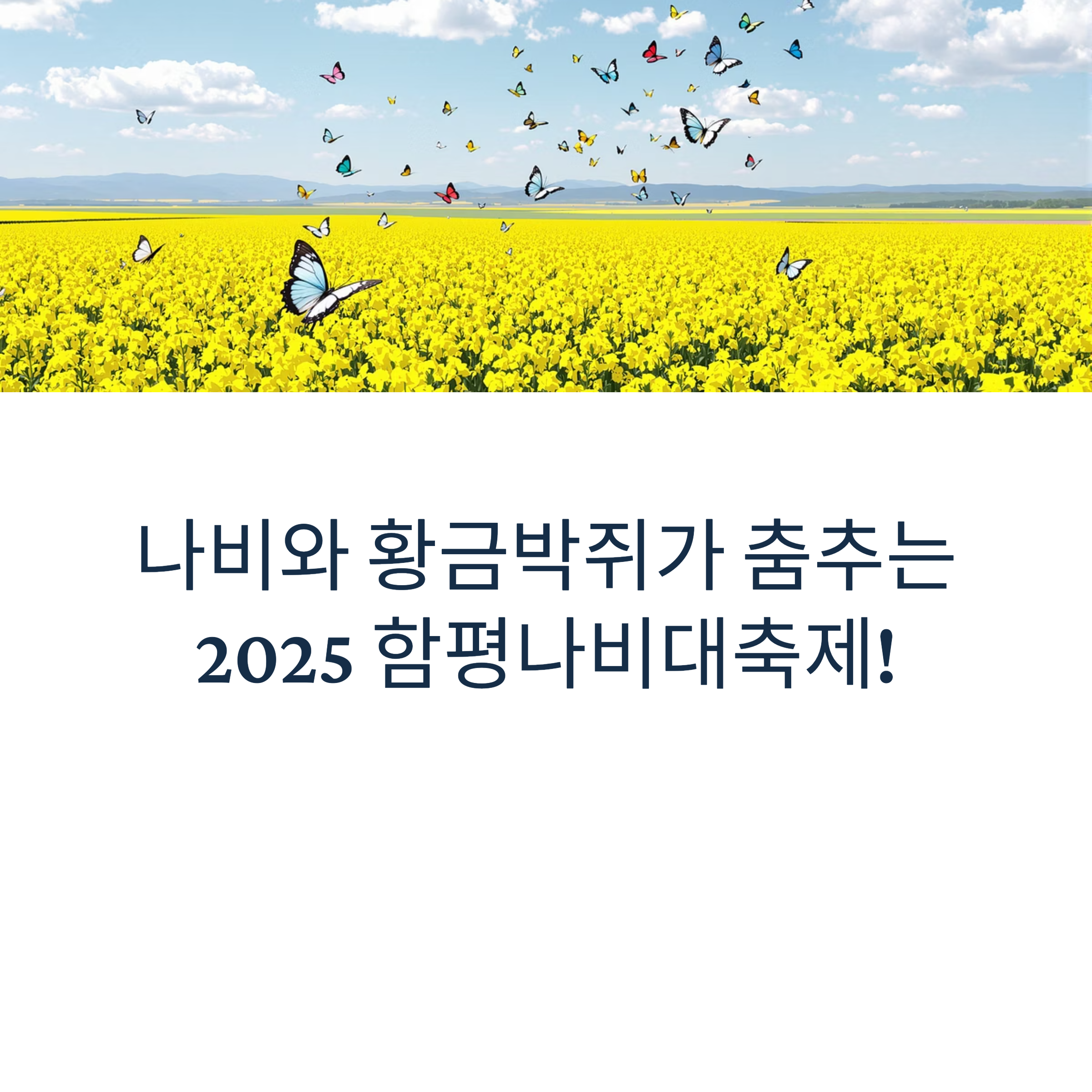 나비와 황금박쥐