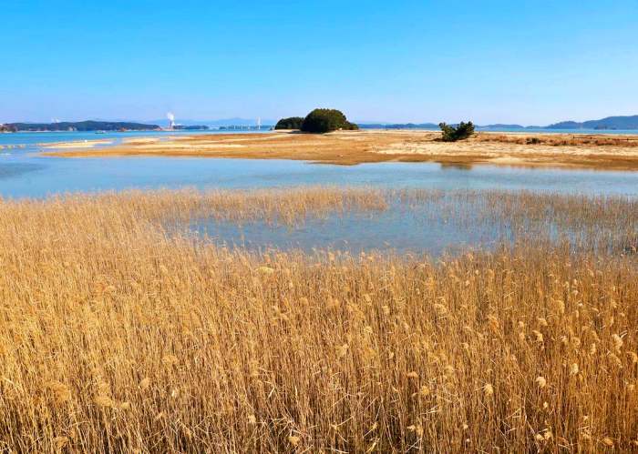 생생정보 조회 수 75만 뷰 은퇴 부부의 해루질 낮루질 촬영 도전기 영상
