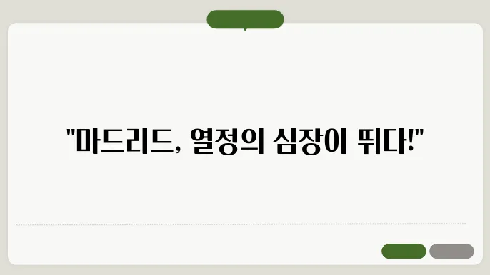 유럽여행 추쳉 스페인 마드리드 : 열정의 심장부에 가다