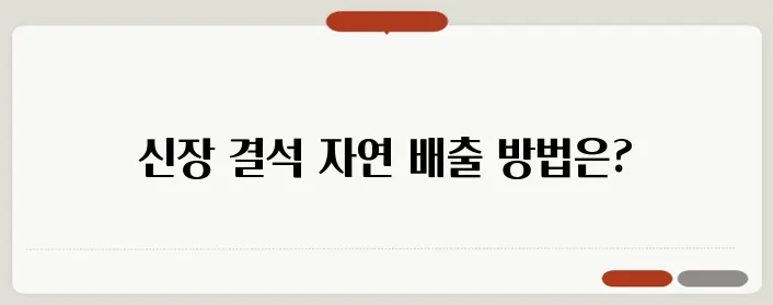 신장 결석 증상과 치료방법 자연 배출 가능할까