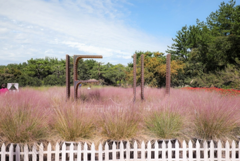 제주 휴애리 핑크뮬리 축제(구석구석 홈페이지)